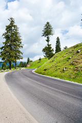 Naklejka premium Road