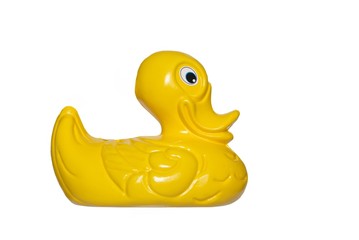 duck toy