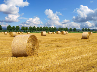 Abgeerntetes Feld mit Strohballen