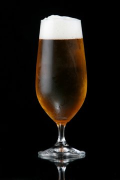 Beer or Lager in Glass