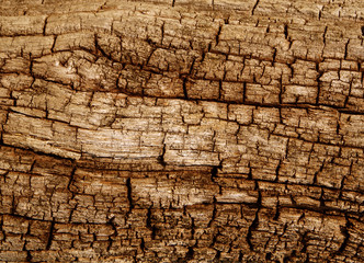 Alter Holzstamm