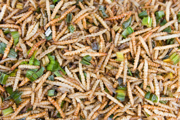 A pile of deep fried bugs - used as a kind of snack in Asia