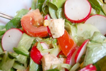Salat mit Tomate und Radieschen