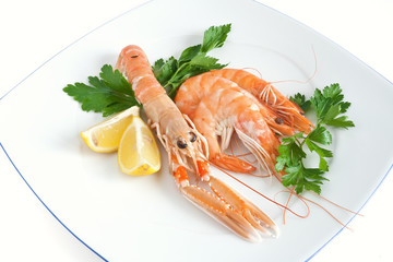 piatto con scampi e gamberi