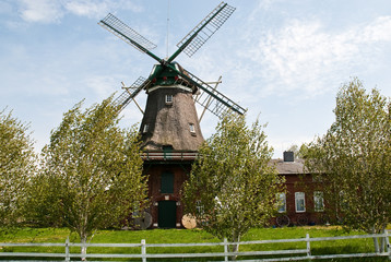 Fototapeta na wymiar Windmühle in Norddeutschland