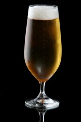 Beer or Lager in Glass