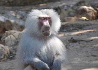 Obraz premium Relaxing