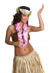 Hawaiian Hula Dancer Girl - 22876124