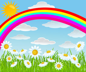 summer vector background