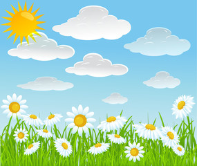 Obraz premium vector summer