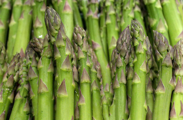 spargel