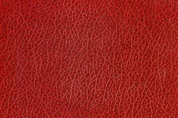 Red Texture #01