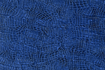 Blue Texture #01