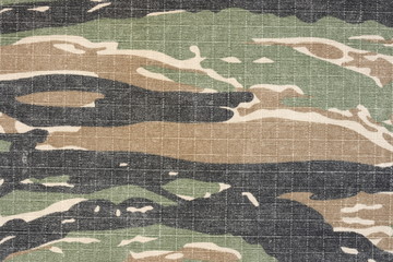Fototapeta premium vintage tiger stripe