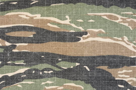 vintage tiger stripe