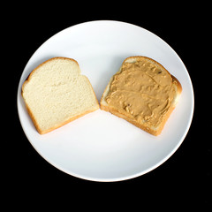 peanut butter sandwich