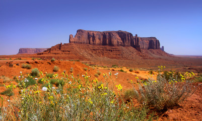 Monument valley