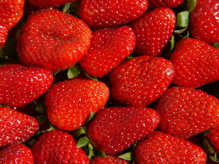 Erdbeeren