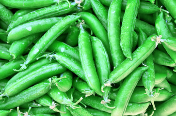 Pea