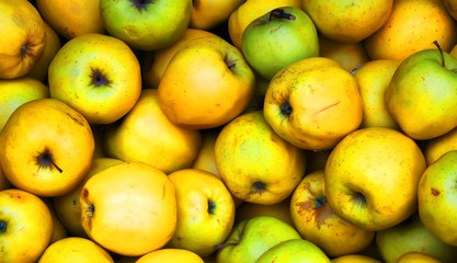 Apples