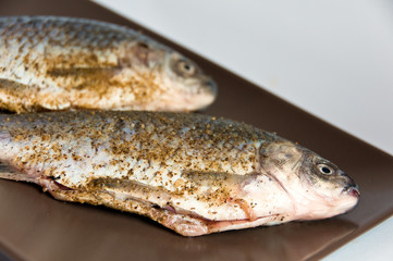 Pair of raw fresh crucian