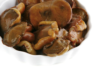 mushrooms on porcelain