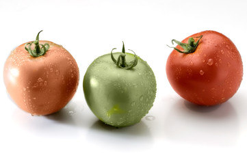 Tomates multicolores