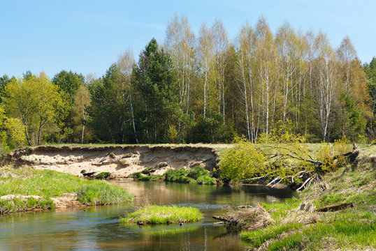 River in the forest