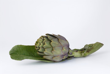 Obraz premium carciofi