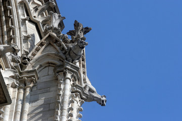Fototapeta na wymiar Gargulce z katedry Notre Dame, Paryż