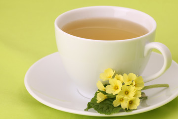 Primrose tea