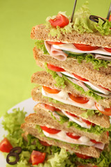 Healthy sandwiches with ham, camembert and vegetables