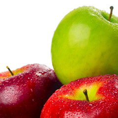 Fruits