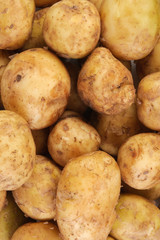 Young raw potato as background