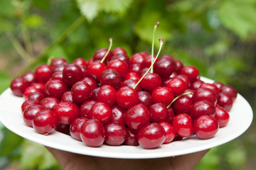 tasty cherries