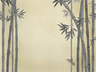 Fototapeta premium 竹