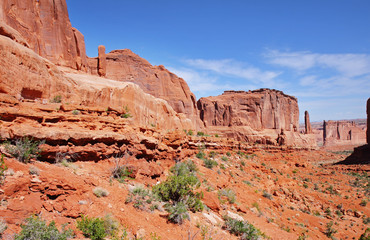 Canyon Landscape in the USA