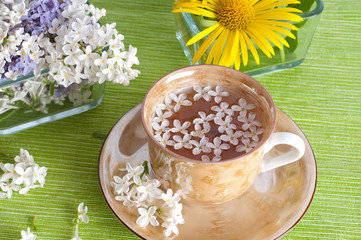 cup of tea