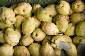 Eine Kiste mit Quitten