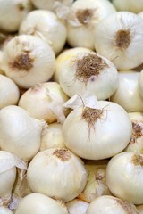 White onion in grocery