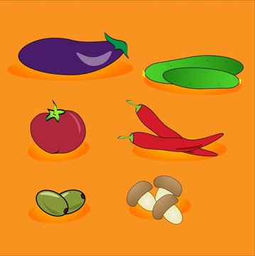 illustration-vegetables on an orange background