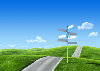 Nature collection - Road across the meadow with roadsign © sellingpix