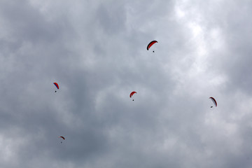 Drachenflieger