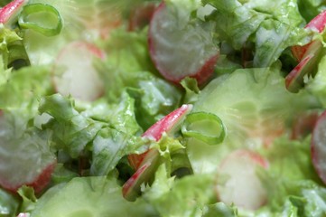 Salat - Kachel