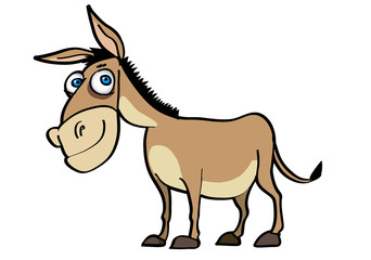donkey