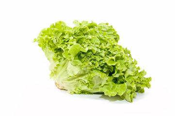 lechuga fresca