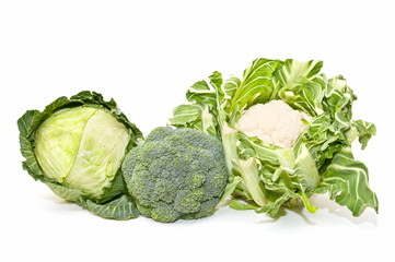 coliflor, repollo y brócoli