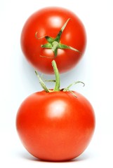 Fresh tomatoes on white background