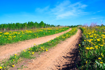 rural road in field