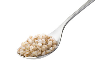spoon with boiled buckwheat isolated